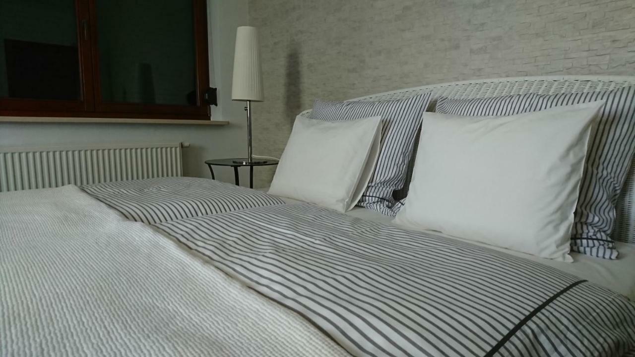 Quiet And Spacious Apartment With Garage Option Krakau Buitenkant foto