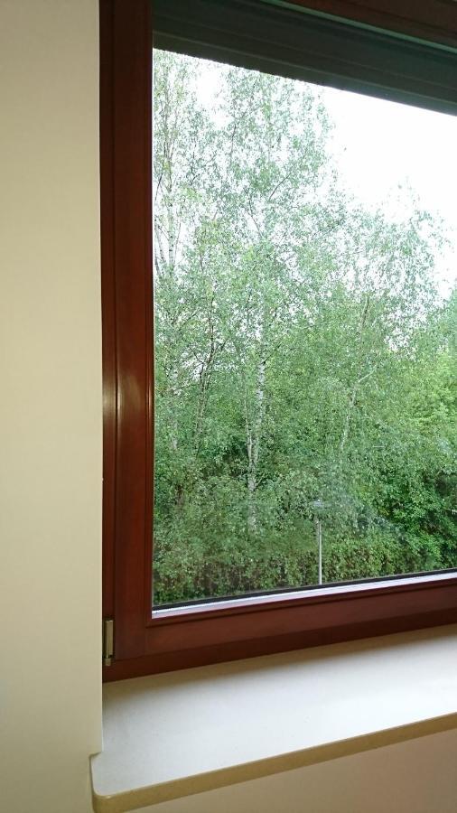 Quiet And Spacious Apartment With Garage Option Krakau Buitenkant foto
