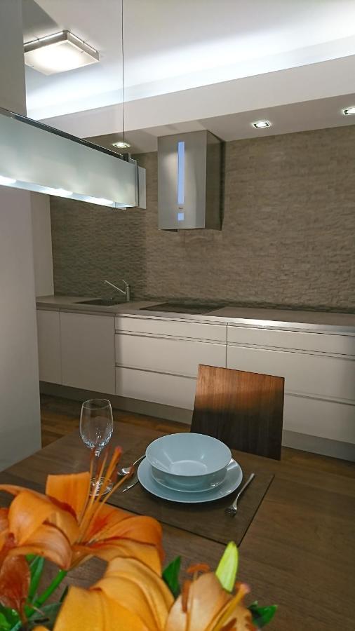 Quiet And Spacious Apartment With Garage Option Krakau Buitenkant foto