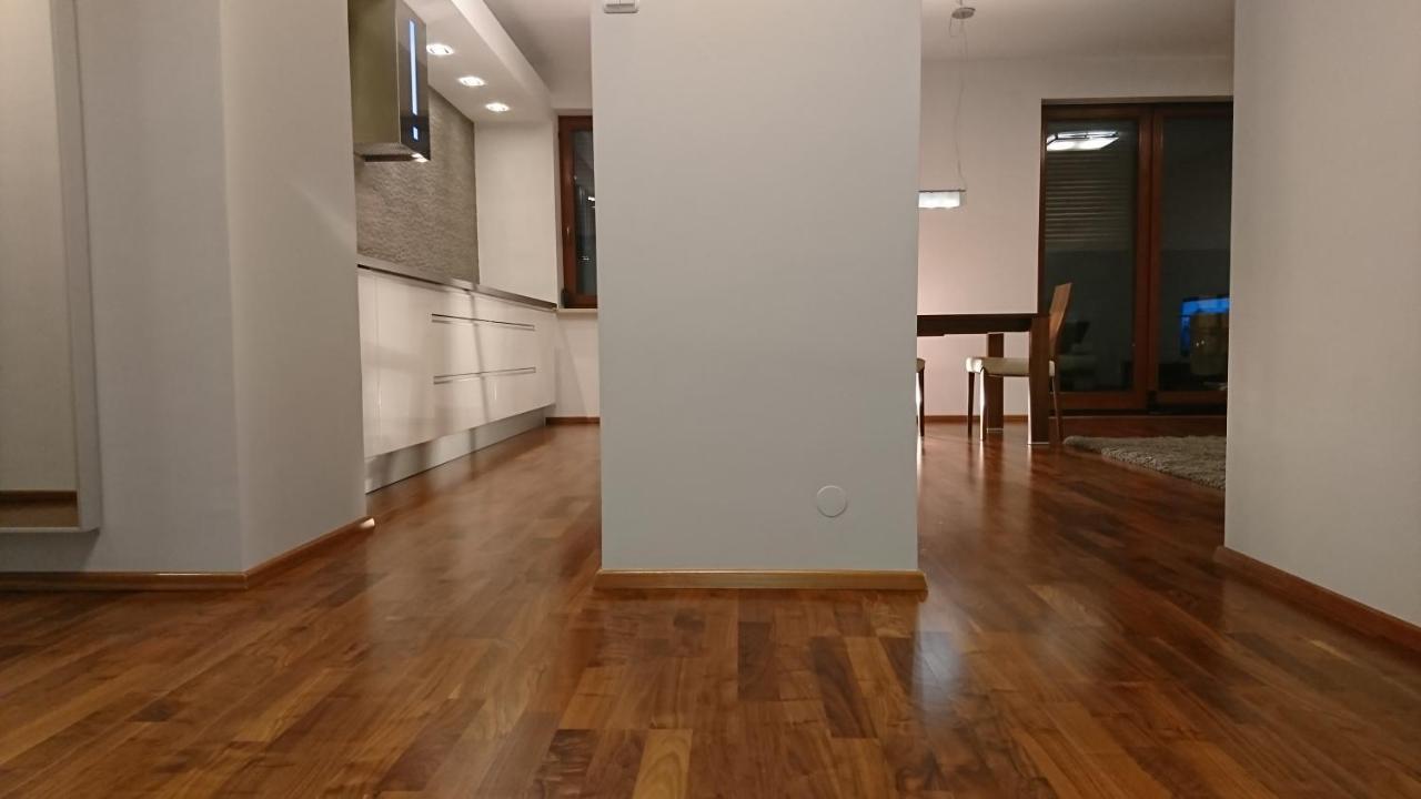 Quiet And Spacious Apartment With Garage Option Krakau Buitenkant foto
