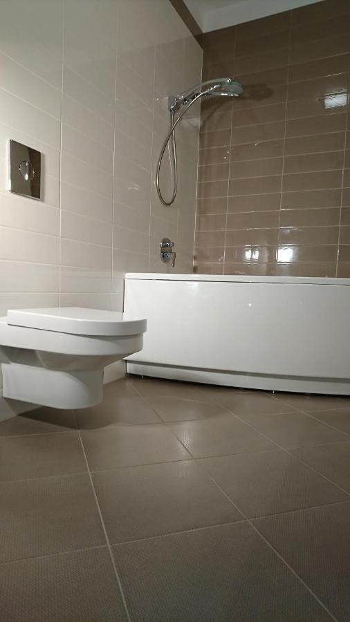 Quiet And Spacious Apartment With Garage Option Krakau Buitenkant foto